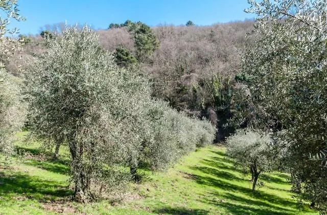 Casa Costanza Villa Larciano Italy