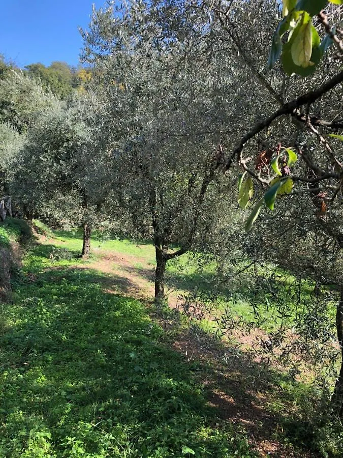 Casa Costanza Villa Larciano